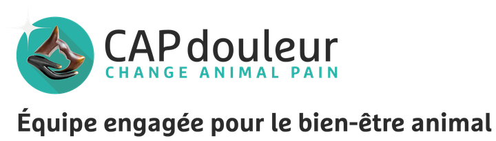 DOGTOR, membre du réseau CAP douleur